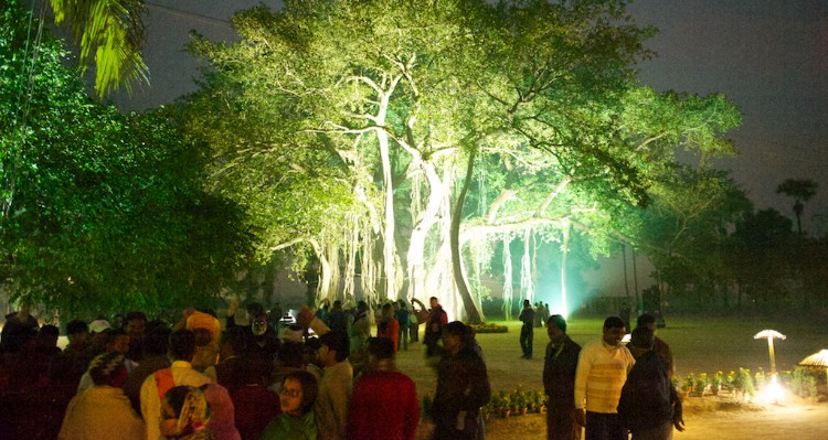 Billwamangal tree - center of the Soham Baba Mission Eco-village