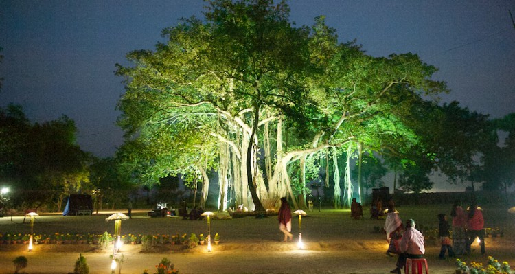 Billwamangal tree - center of the Soham Baba Mission Eco-village